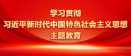 爱日本老妇的逼学习贯彻习近平新时代中国特色社会主义思想主题教育_fororder_ad-371X160(2)